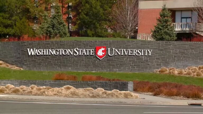Rantz: WSU instructor arrested for allegedly attacking Trump-hat wearing student