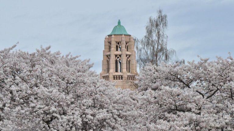 Conservative group slaps University of Washington as an ‘Ivory Tower Hypocrite’ for viewpoint intolerance