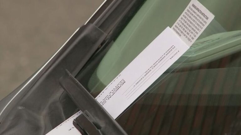 Rantz: Seattle activists say parking tickets for blocking bus lane, fire hydrant on Juneteenth is racist