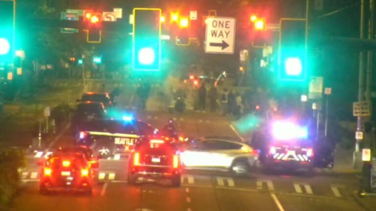 Rantz: ‘No Kings’ gave cover for activist violence, arson in Seattle, Tukwila