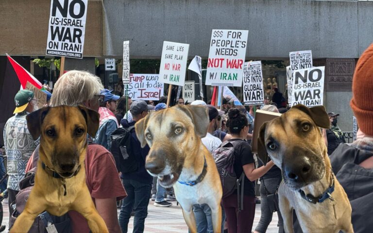 Rantz: My adorable, patriotic dog snapped at pro-Iran protesters in Seattle. Good boy, D’Artagnan.